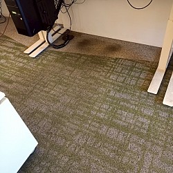 辦公室地毯清洗前